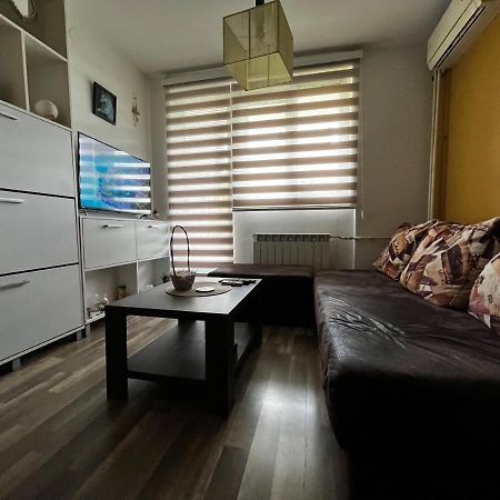 Sova Daire Vrsac Dış mekan fotoğraf