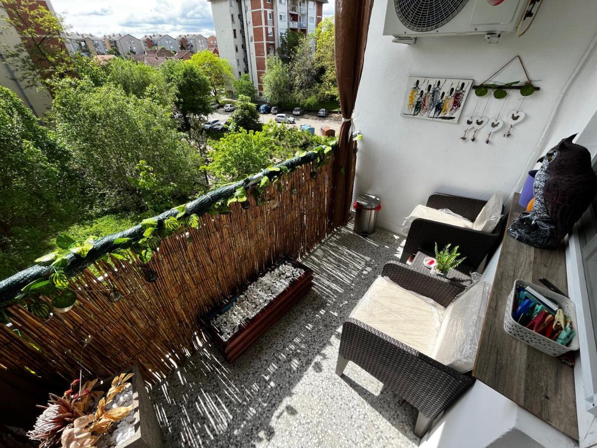 Sova Daire Vrsac Dış mekan fotoğraf